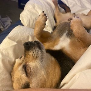 Meet your Posher, Colleen